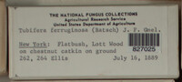 Image Associated With the Occurence